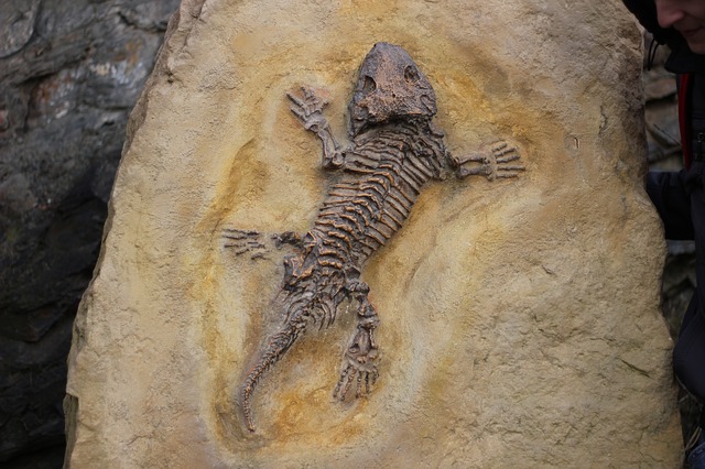 Grube Messel, Fossilien